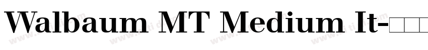 Walbaum MT Medium It字体转换